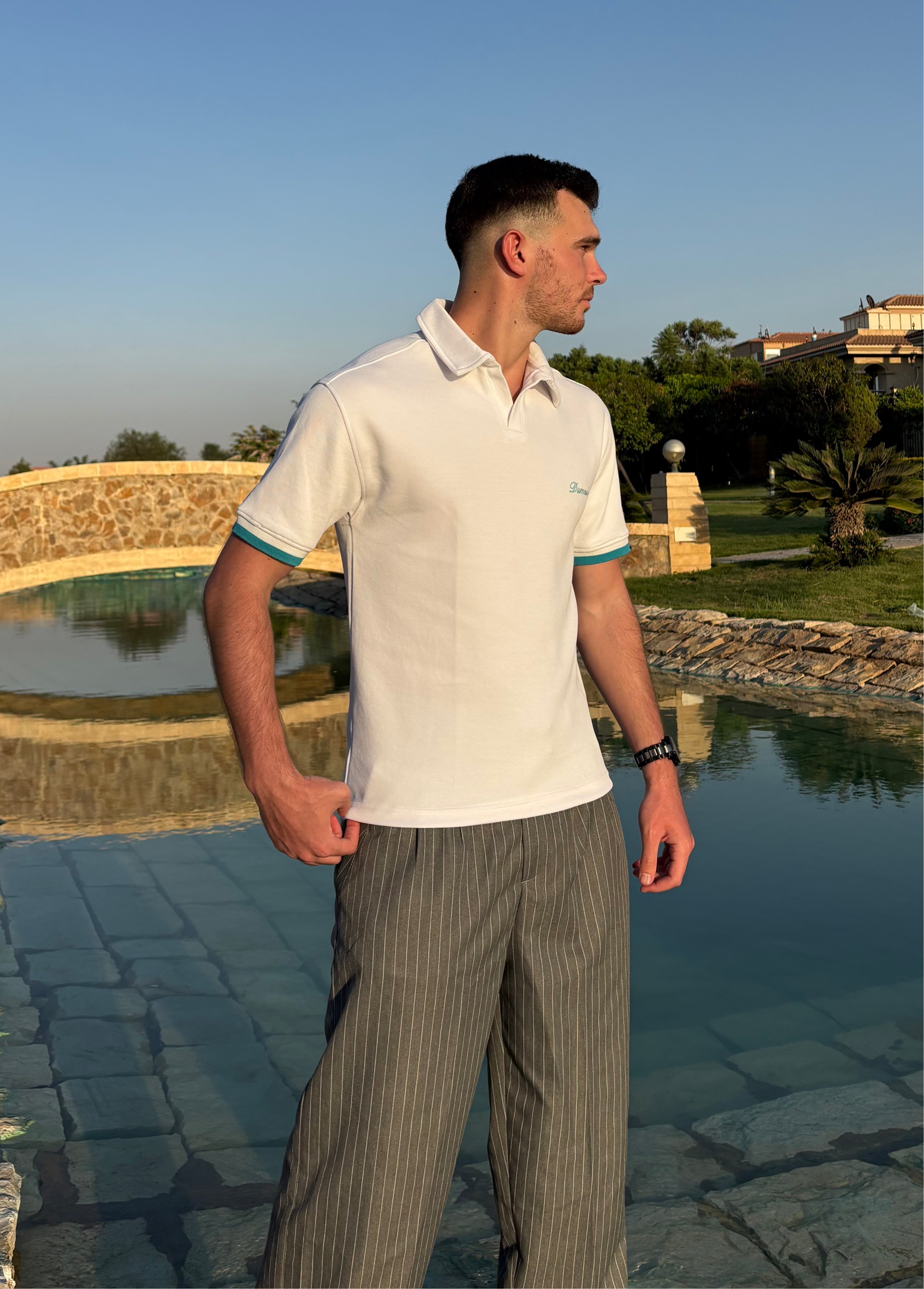 Pinstripe grey pant